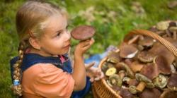 WXnWPpFPT1OrLvX0OsHrdQ-Huby-hribi-deti-zberanie-dreamstime.jpg - 